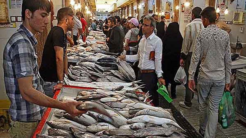 بازار قدیمی ماهی فروش های بوشهر