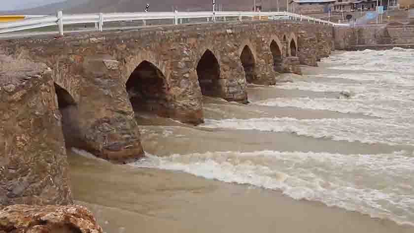 درباره پل اورگان