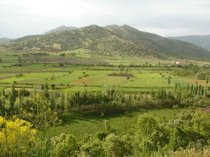 گیاهان دارویی روستای سبدلو