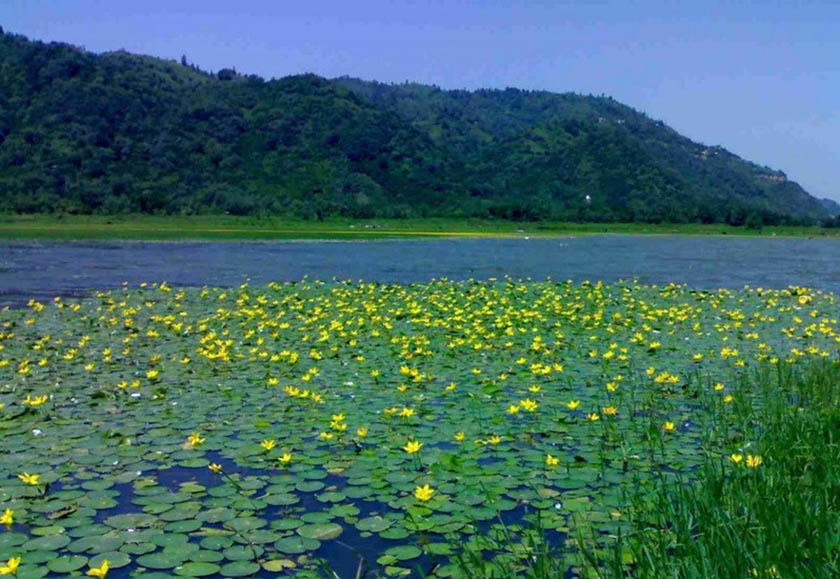 دریاچه کومله