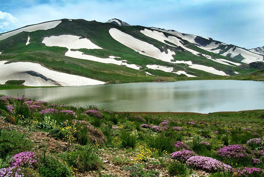 برکه دالامپر