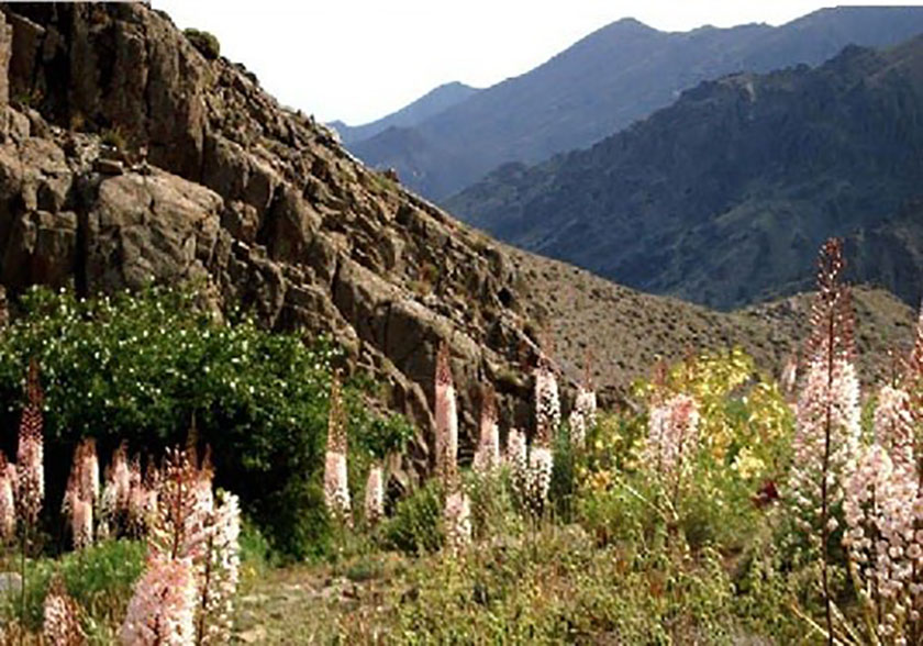 تاریخچه منطقه حفاظت شده پلنگ دره