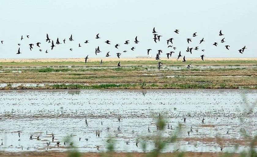 کویر حوض مره