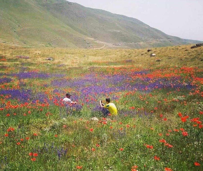 تاریخچه روستای سیبک