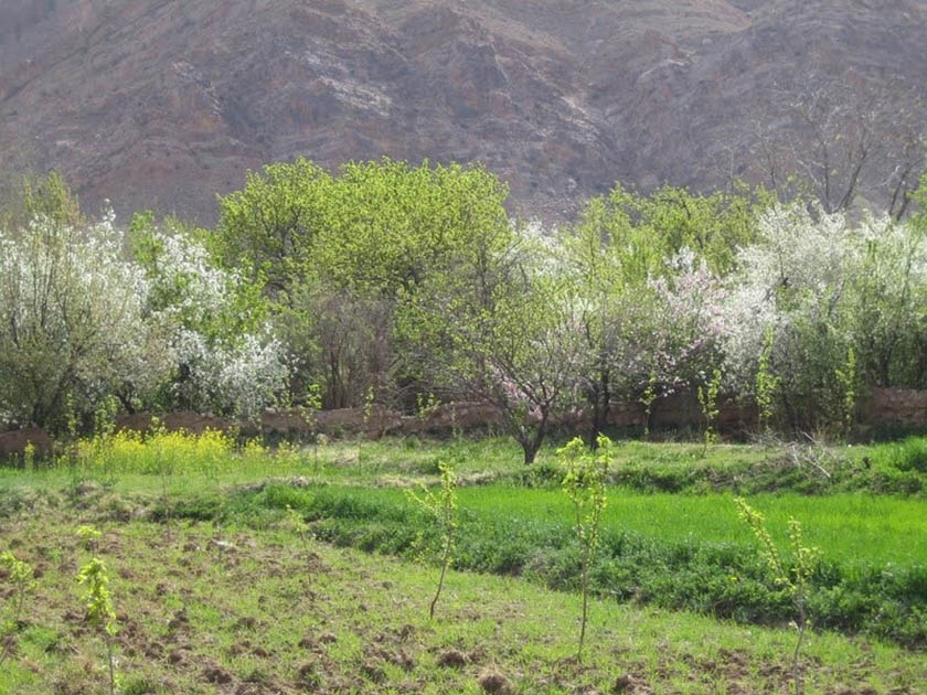 تاریخچه روستای سرند