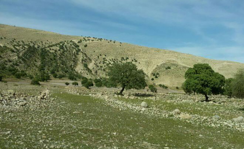 درباره روستای نوگک