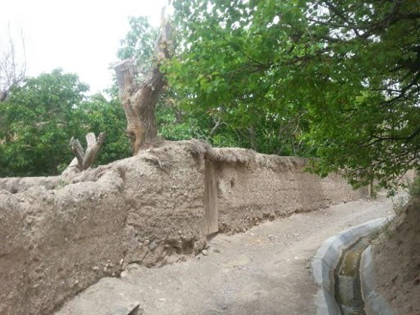 تاریخچه روستای بیدسکان