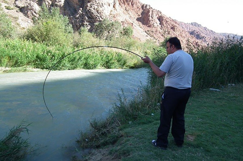 ماهیگیری