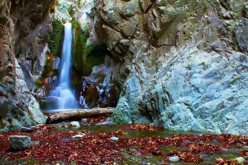 تاریخچه روستای دلفارد