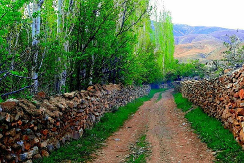 درباره روستای طبر