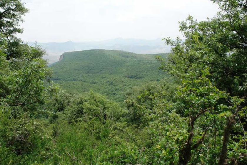 معرفی روستای دشت جاجرم