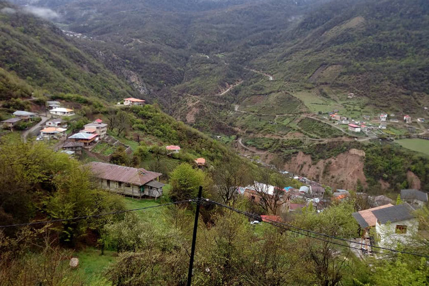 گونه های حیوانی در روستای تاویر