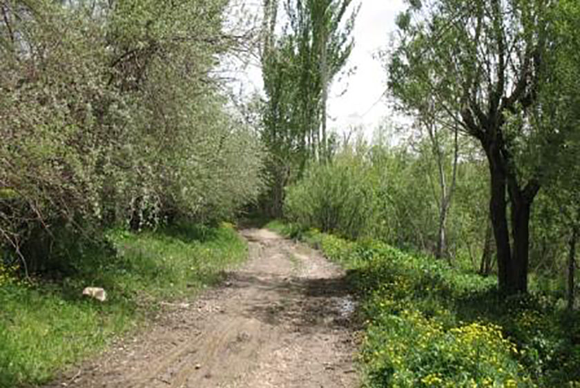 درباره روستای آغچه