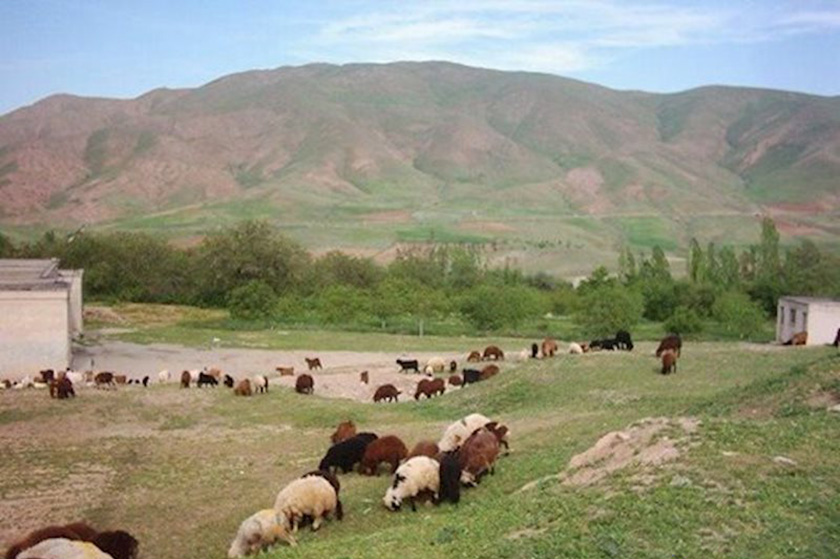 راه های دسترسی به روستای