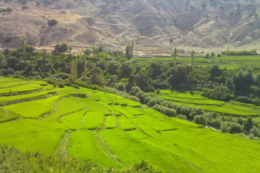 جاذبه های گردشگری روستای رباط