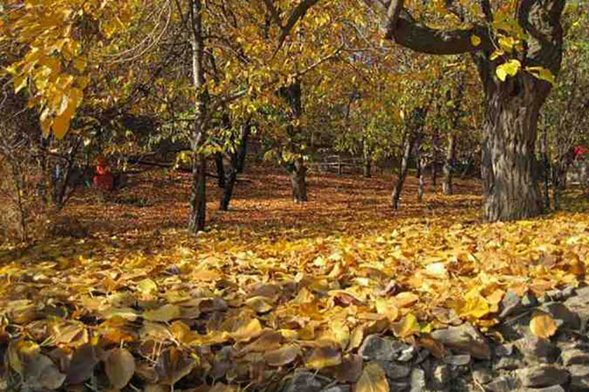 معرفی روستای جاغرق