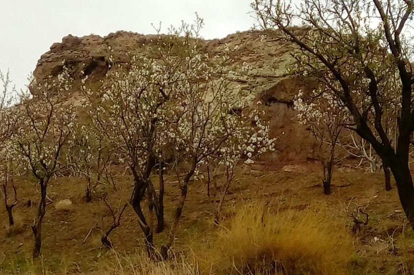 معرفی روستای یوسف آباد