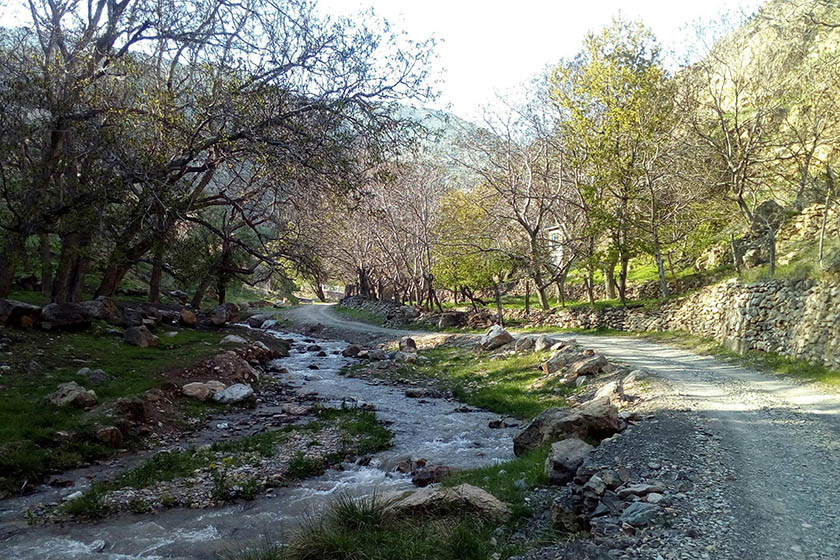 تاریخچه روستای ولیان