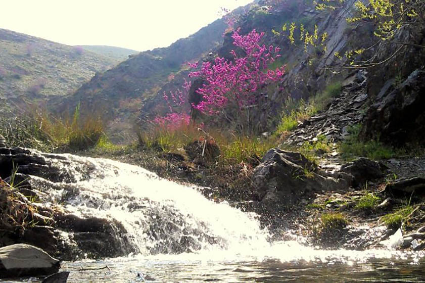 معرفی روستای کلاته آهن