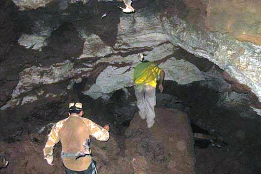 غار مژاره
