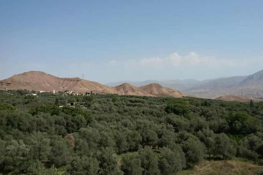 معرفی روستای تشویر