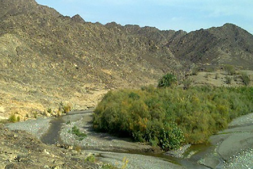 معرفی روستای اسفند