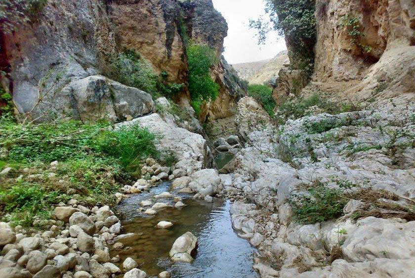 شهرستان چرام باغ چشمه بلقیس