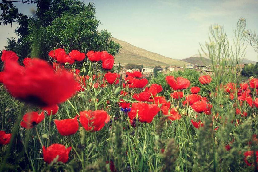 بازدید از روستای درسجین