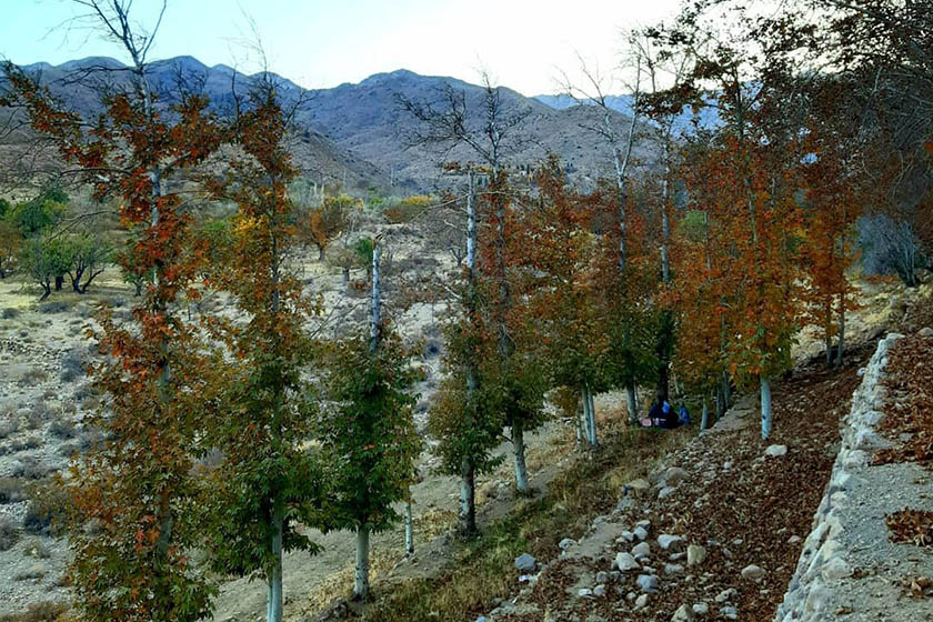 درباره روستای جرجافک