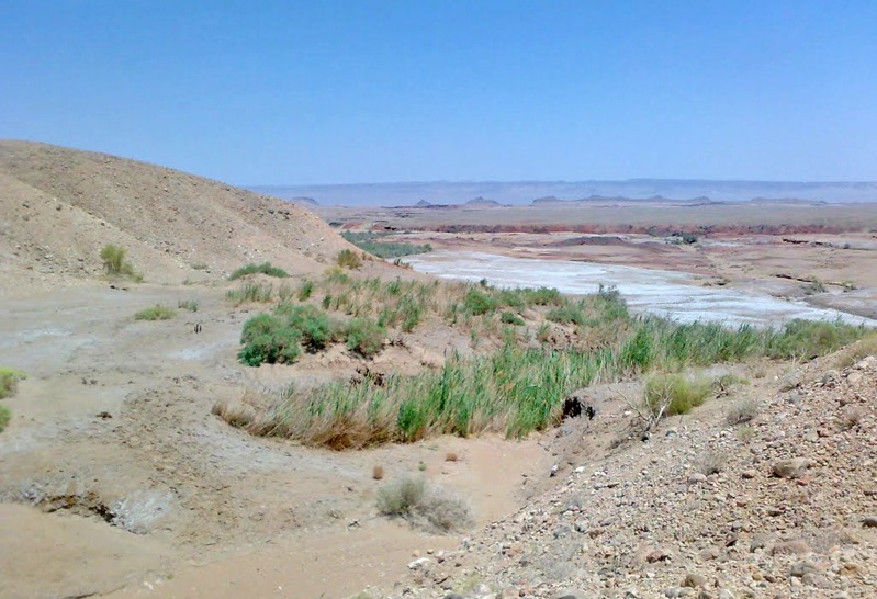 منطقه حفاظت شده چاه کومه