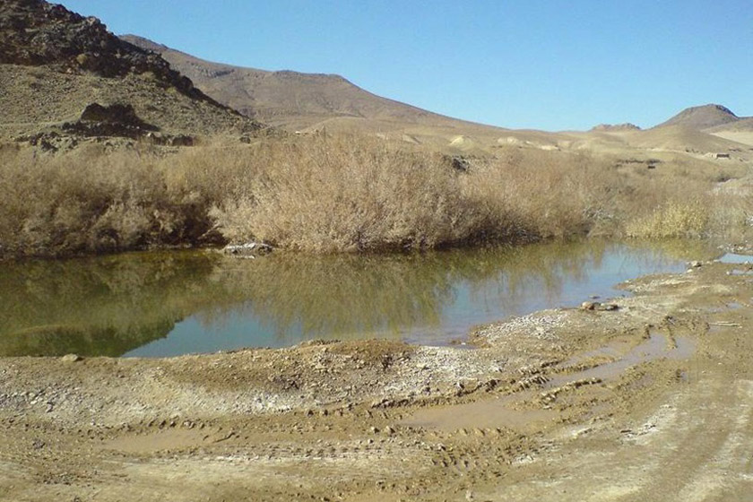 بازدید از منطقه حفاظت شده چاه کومه