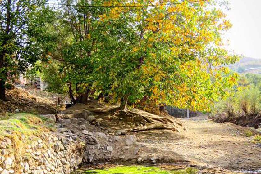 معرفی روستای سیه بنوئیه