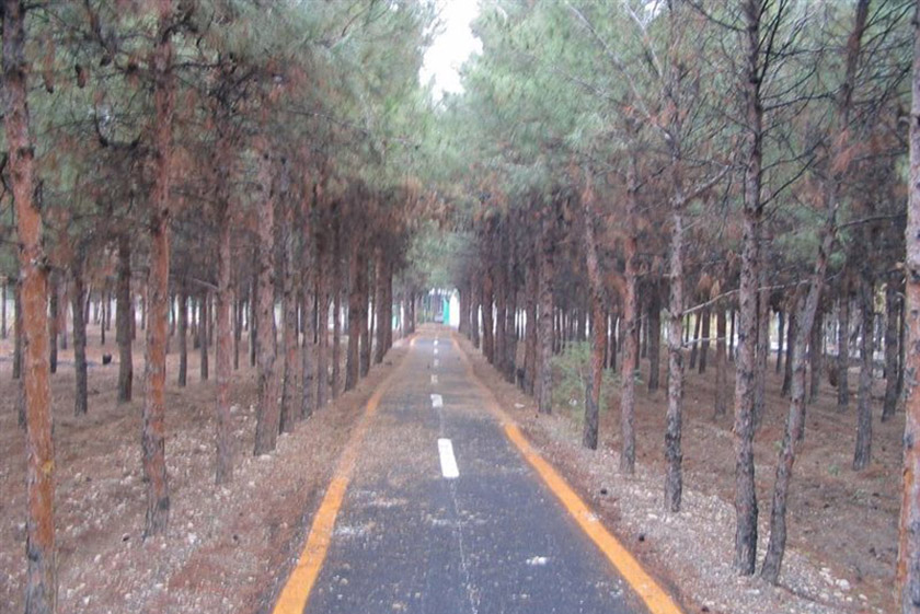 راه های دسترسی به پارک جنگلی