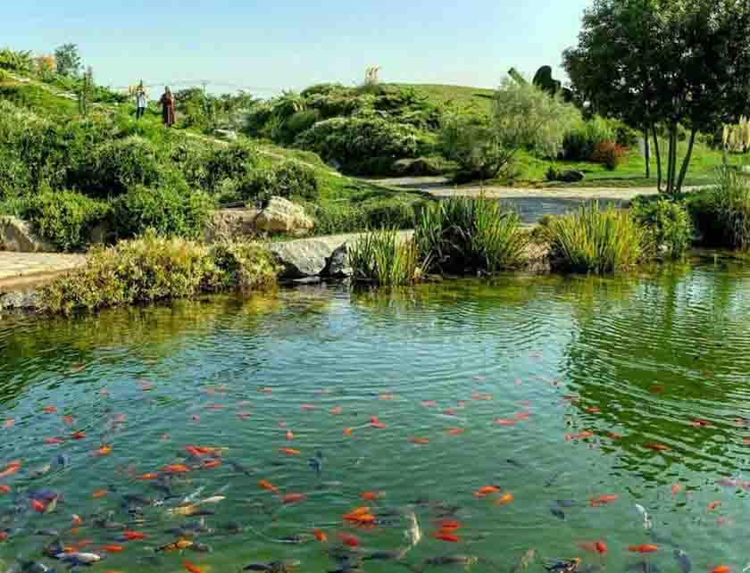 باغ گیاه شناسی مشهد