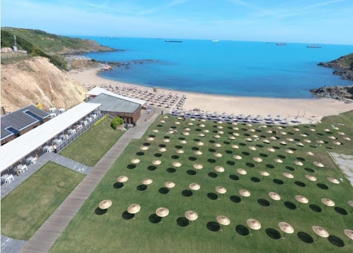 ساحل دالیا (Dalia Beach)