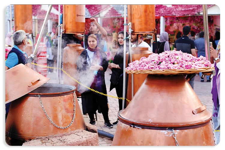جشن گلاب‌گیری کاشان