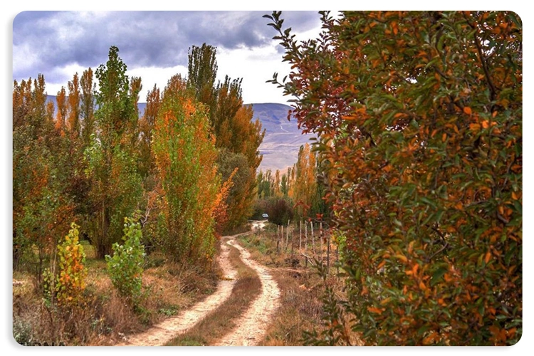 جشنواره پاییزی ارومیه