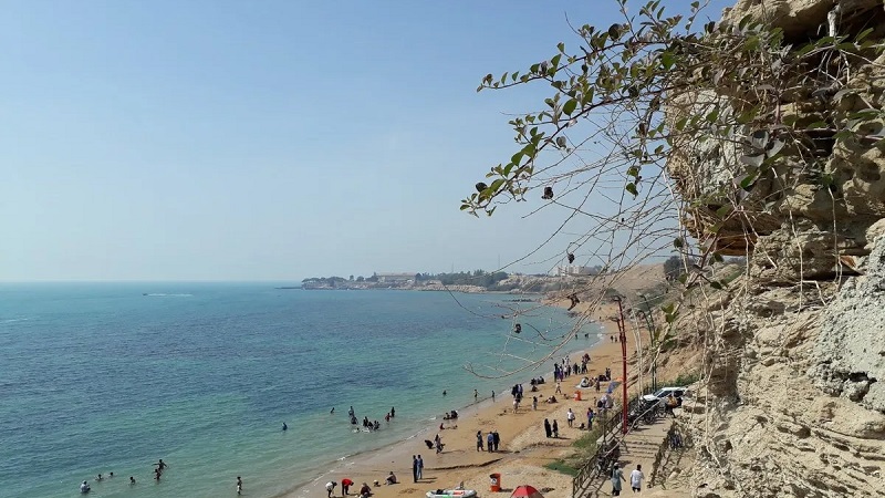 ساحل ریشهر