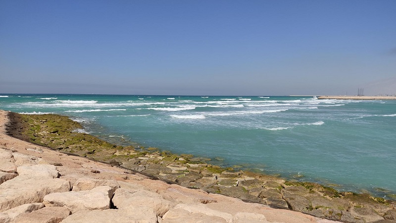 اسکله و پارک ساحلی نخل تقی