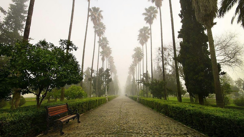 بلوار کازینو رامسر