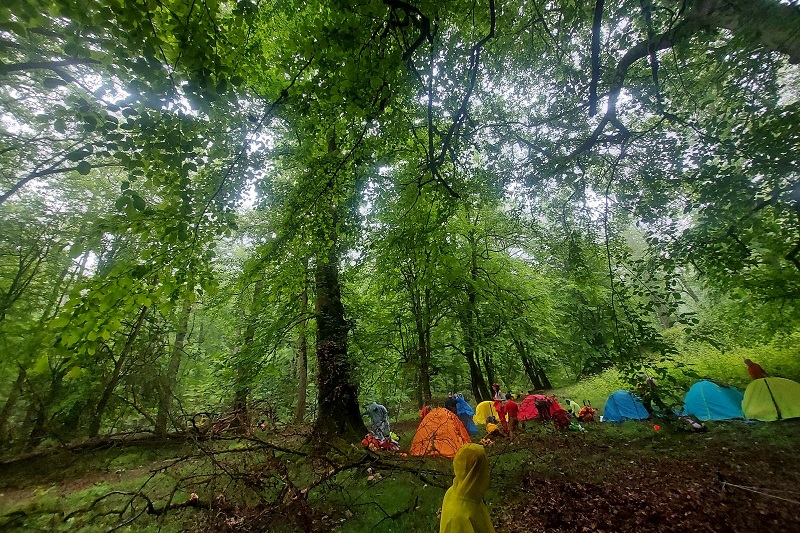 جنگل شصت کلا و آبشار باران کوه