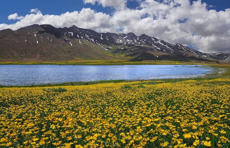 دریاچه نئور اردبیل