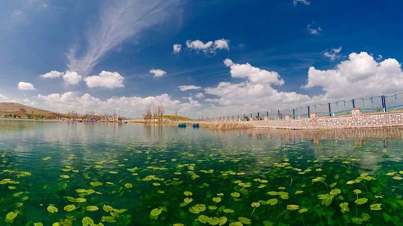 سراب نیلوفر