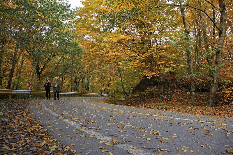 پارک جنگلی النگدره