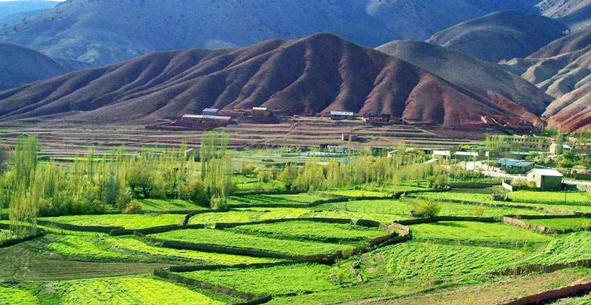 جنگل های سمنان