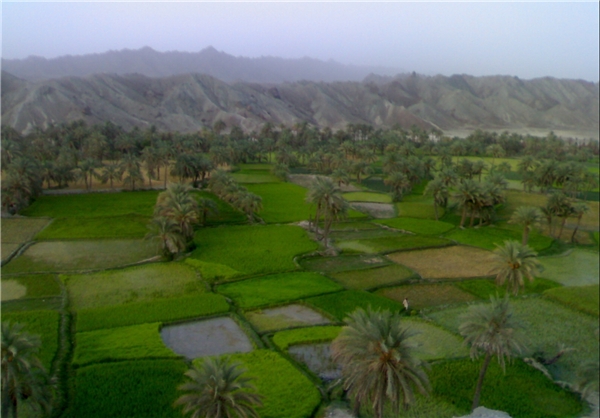 سفر به ایرانشهر