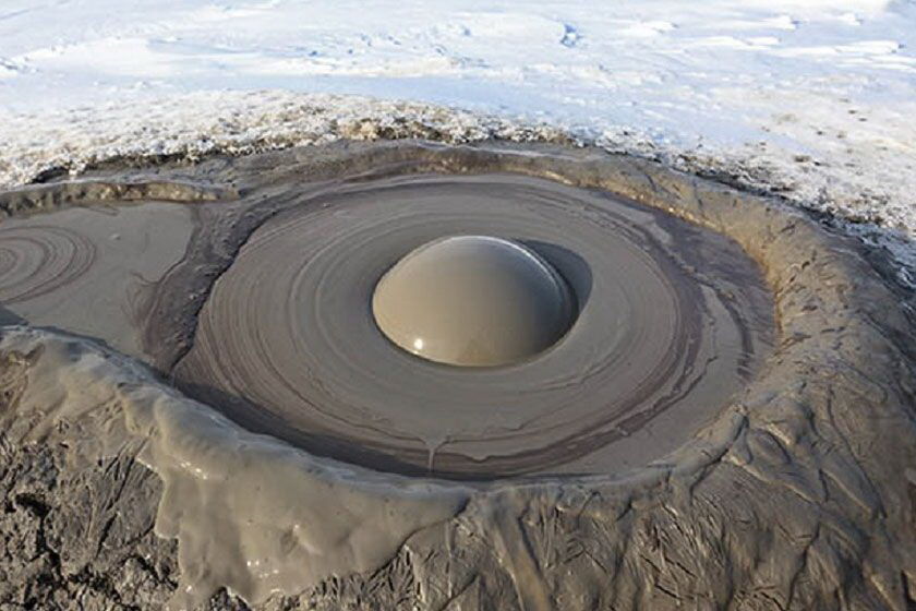 گلفشان در ایرانشهر