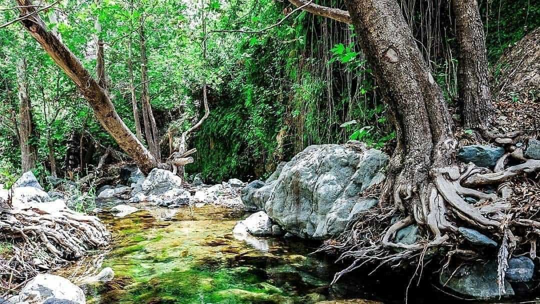 منطقه دلفارد