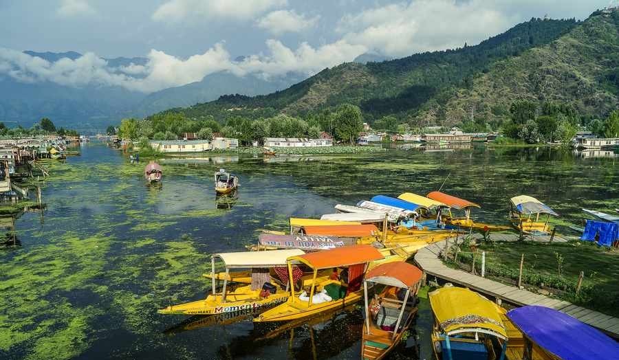 کشمیر در کراچی