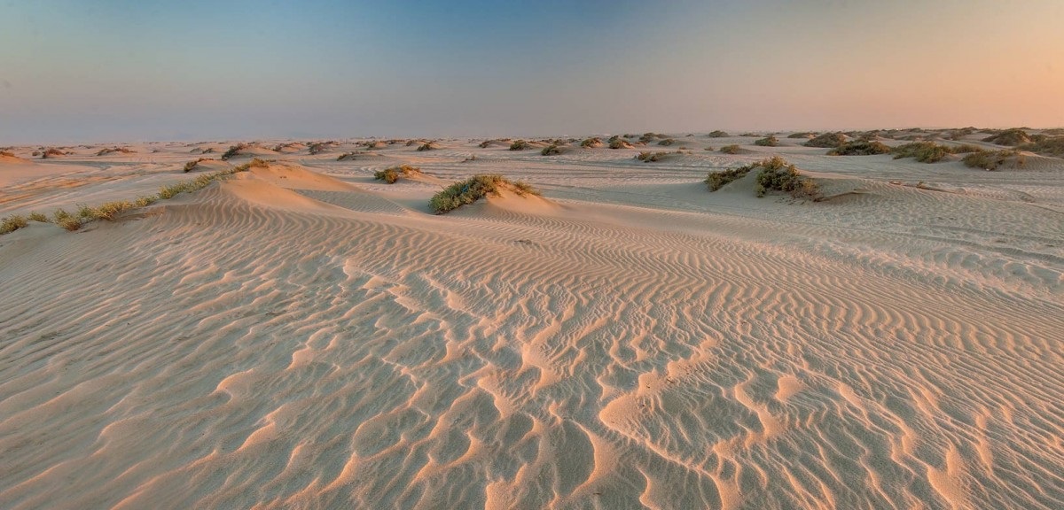 ساحل سلین دوحه